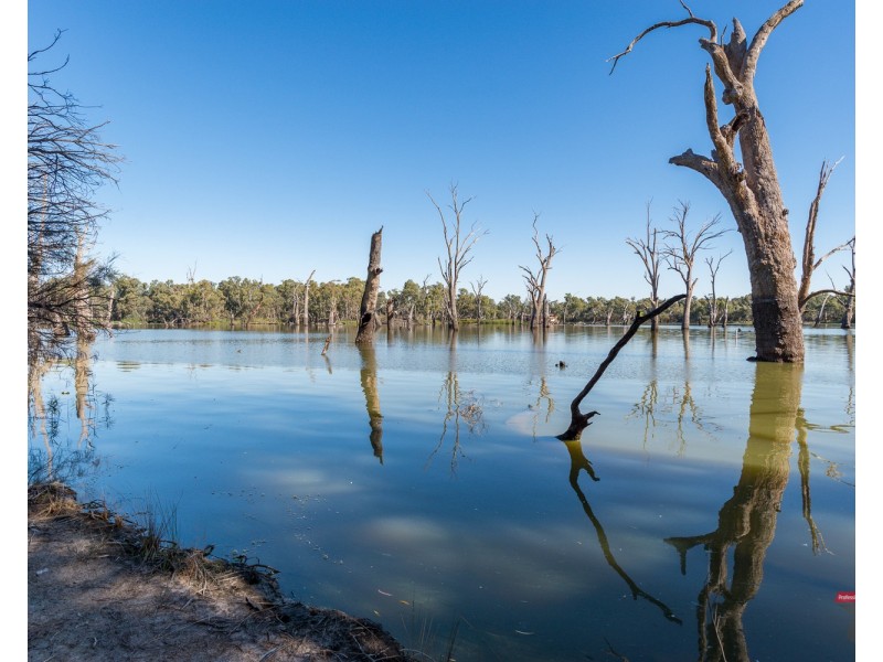 16 The Cobb & Co Way, Gol Gol NSW 2738