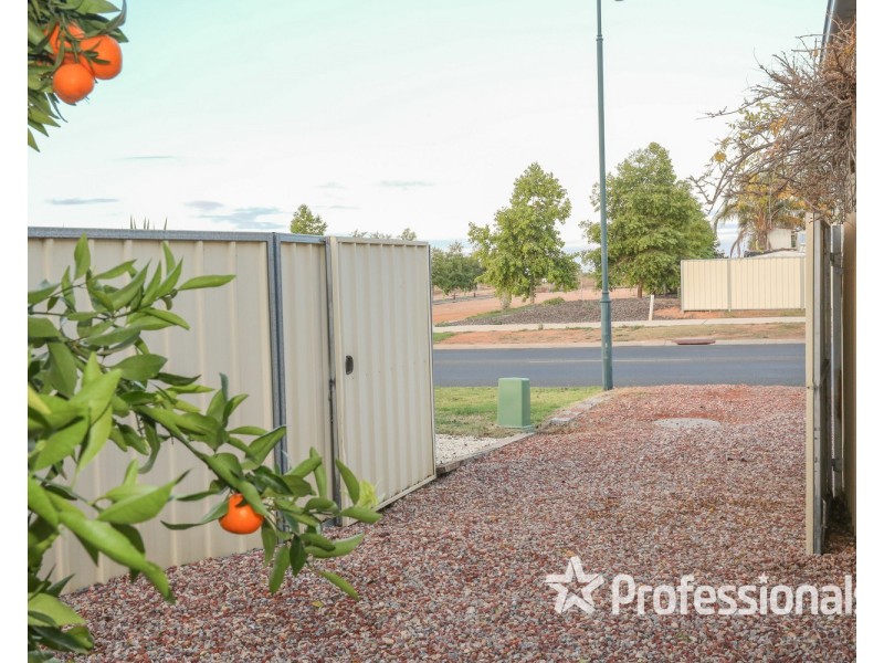 57 Summer Drive, Buronga NSW 2739