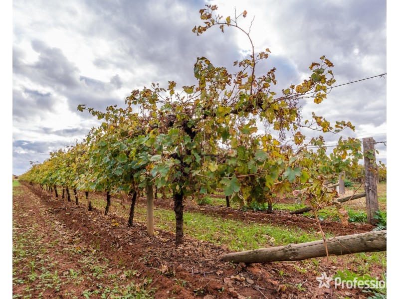 Block/503 Ponde Street, Red Cliffs VIC 3496