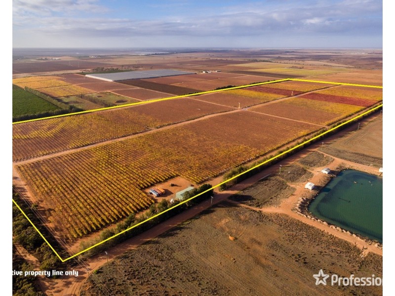 Lot/10 Treviso Way, Red Cliffs VIC 3496