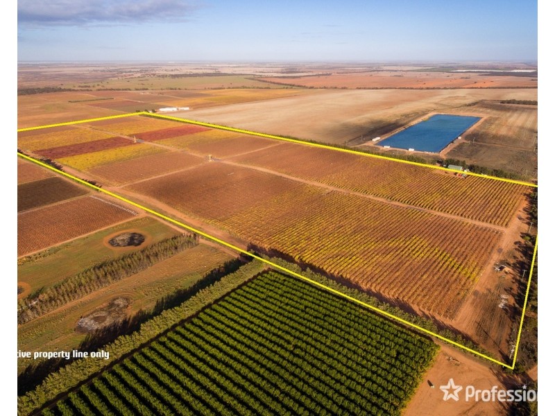 Lot/10 Treviso Way, Red Cliffs VIC 3496