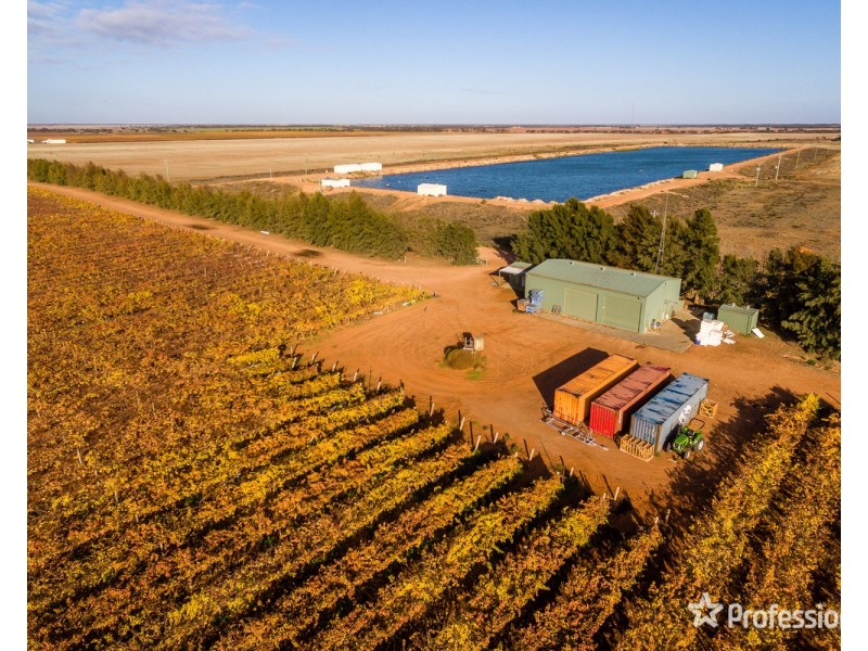 Lot/10 Treviso Way, Red Cliffs VIC 3496