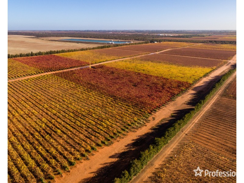 Lot/10 Treviso Way, Red Cliffs VIC 3496