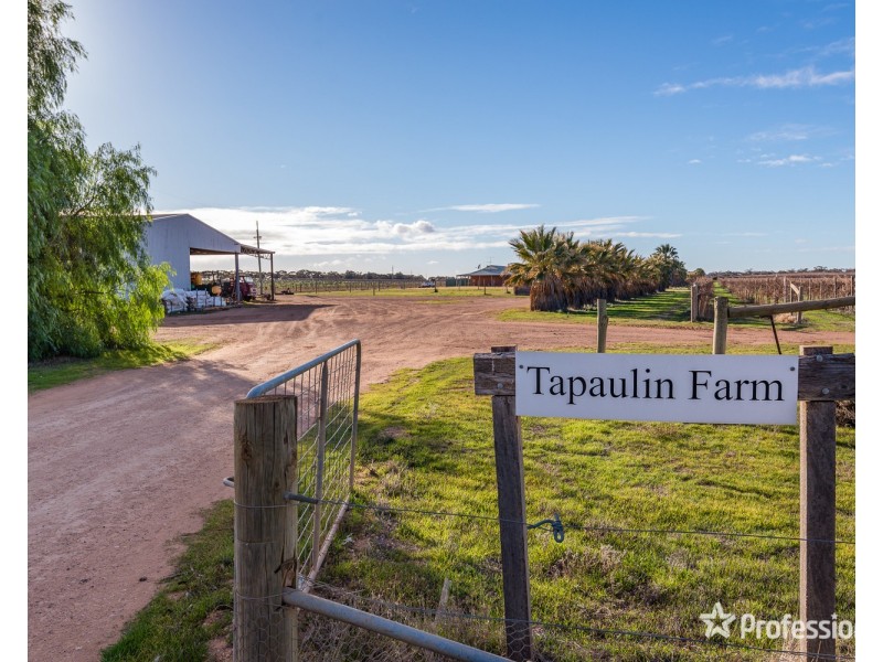 2756 Tapalin Mail Road, Euston NSW 2737