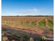 2756 Tapalin Mail Road, Euston NSW 2737