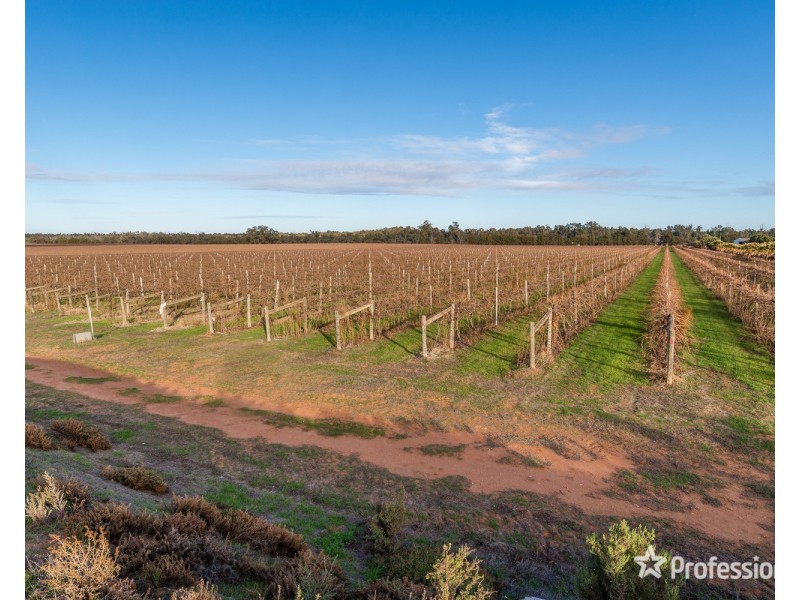2756 Tapalin Mail Road, Euston NSW 2737