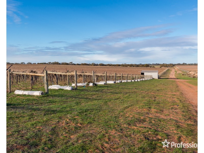 2756 Tapalin Mail Road, Euston NSW 2737