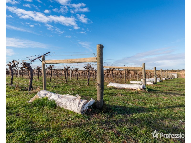 2756 Tapalin Mail Road, Euston NSW 2737