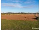 2756 Tapalin Mail Road, Euston NSW 2737