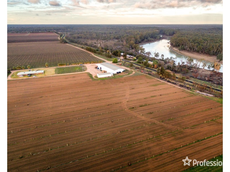 2756 Tapalin Mail Road, Euston NSW 2737