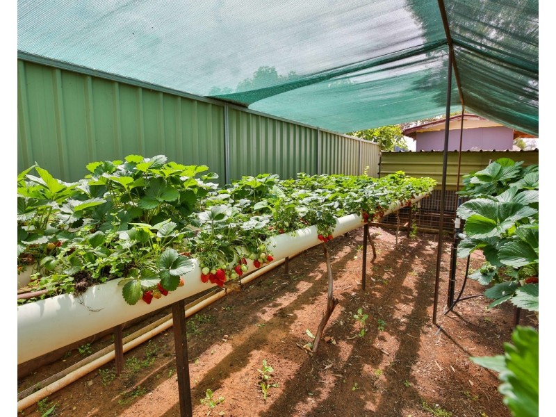 651 Woomera Avenue, Red Cliffs VIC 3496