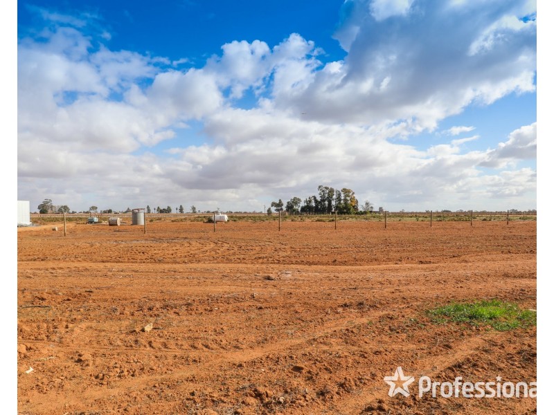 109 River Avenue, Merbein VIC 3505