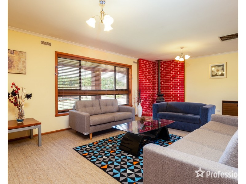 246 Morpung Avenue, Irymple VIC 3498