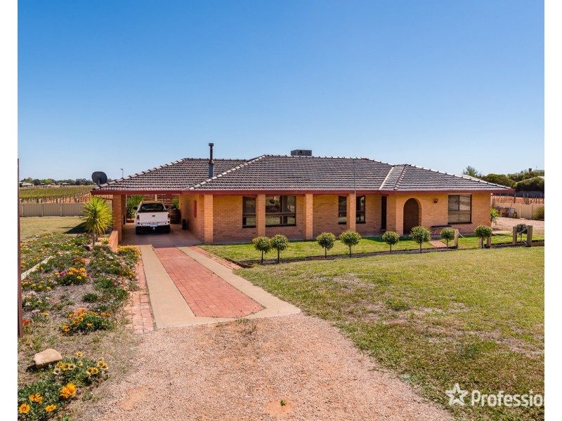 246 Morpung Avenue, Irymple VIC 3498