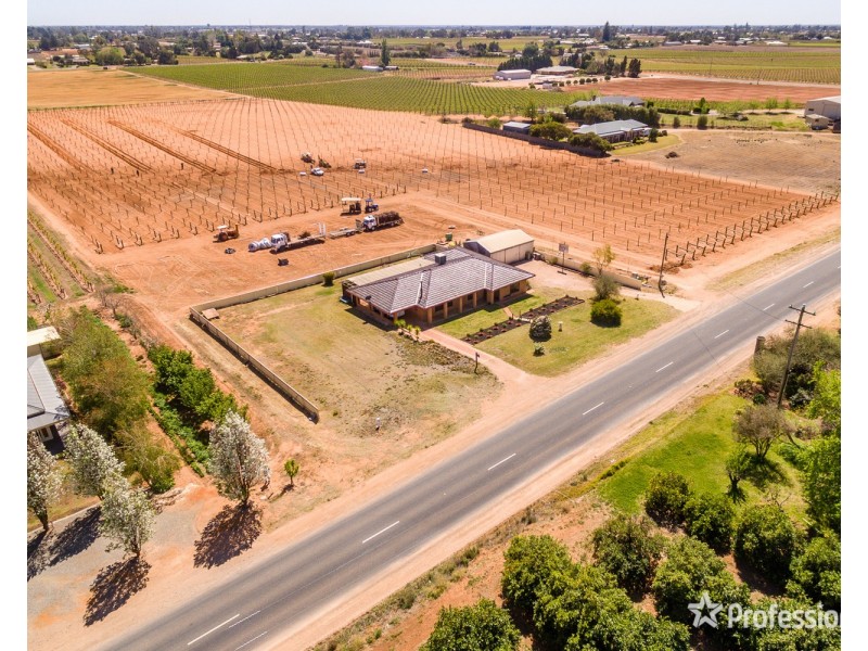 246 Morpung Avenue, Irymple VIC 3498