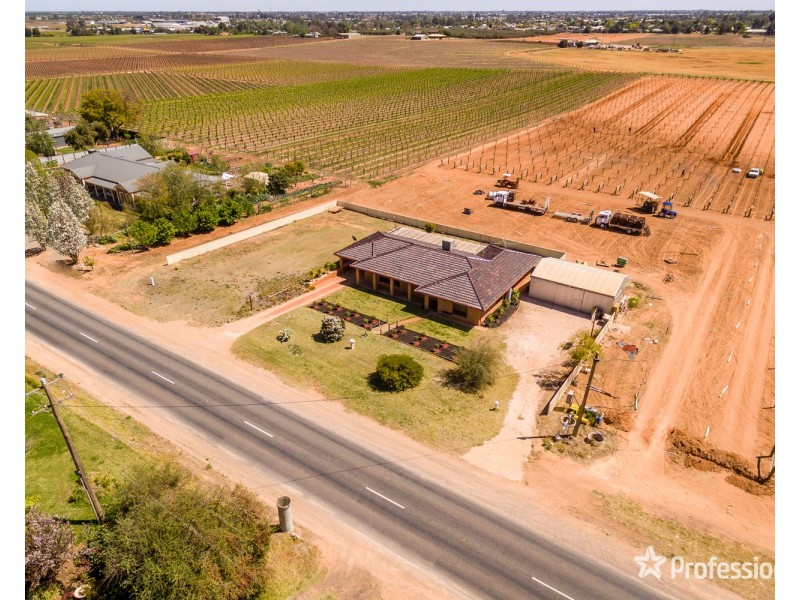 246 Morpung Avenue, Irymple VIC 3498