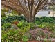 9 Dadswell Road, Red Cliffs VIC 3496