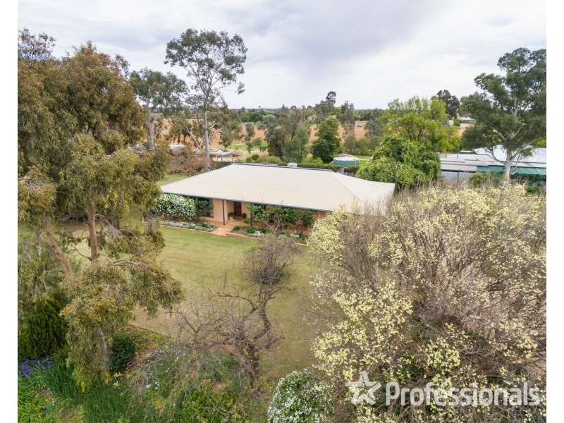 9 Dadswell Road, Red Cliffs VIC 3496