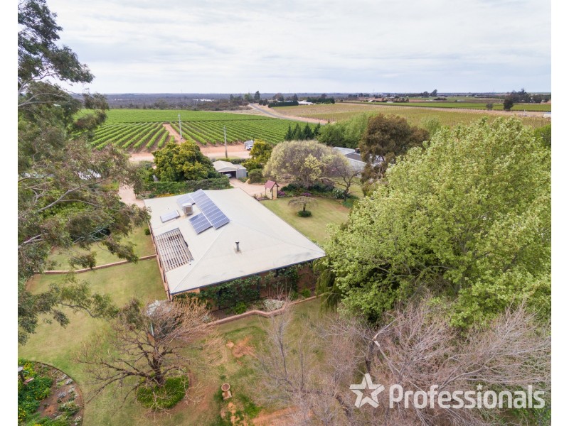 9 Dadswell Road, Red Cliffs VIC 3496