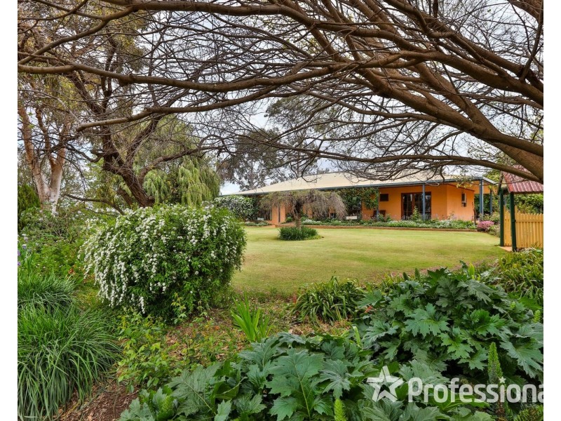 9 Dadswell Road, Red Cliffs VIC 3496