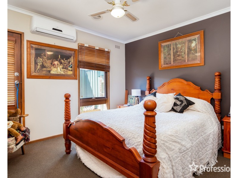 10  Williams Avenue, Mildura VIC 3500