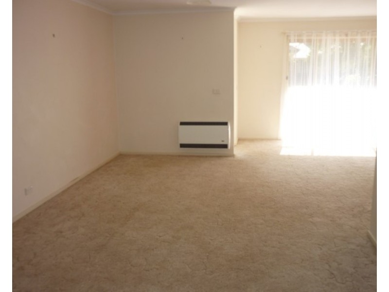 20 Caffrey Court, Irymple VIC 3498