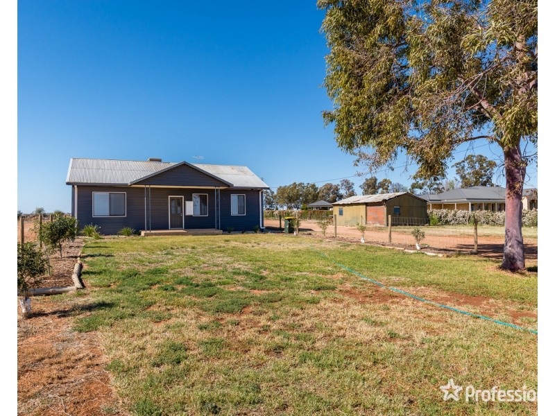 576 Riverside Avenue, Mildura VIC 3500