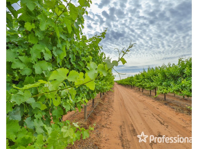 Lot/6 Smiths Road, Ellerslie NSW 2729