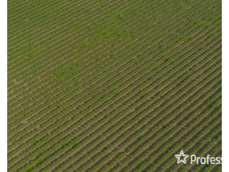 Lot/6 Smiths Road, Ellerslie NSW 2729