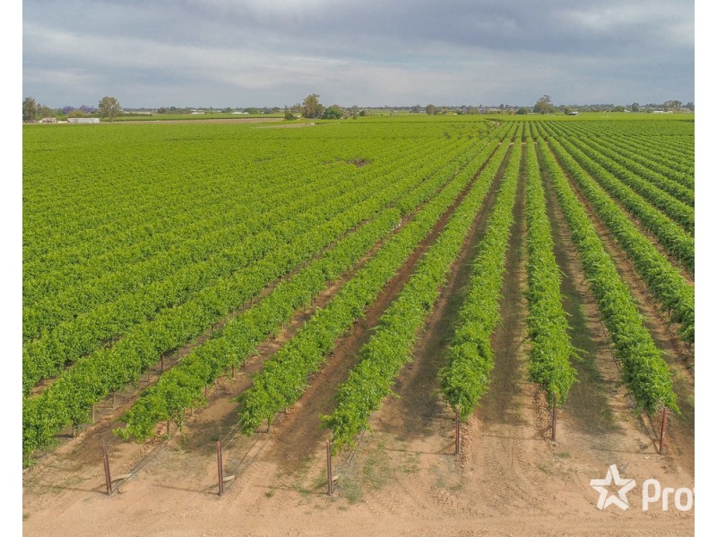 81 Wells Road, Merbein VIC 3505