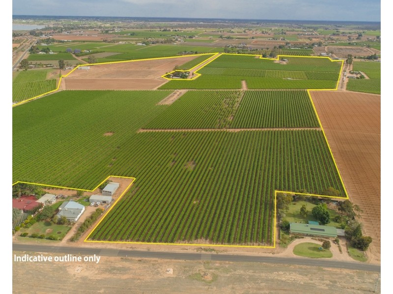 81 Wells Road, Merbein VIC 3505