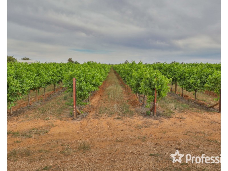 81 Wells Road, Merbein VIC 3505