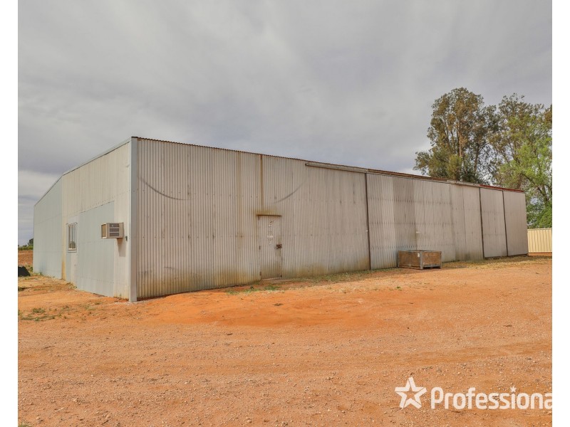 81 Wells Road, Merbein VIC 3505