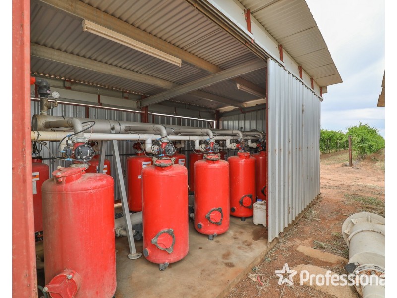 81 Wells Road, Merbein VIC 3505