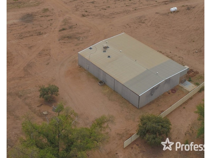 81 Wells Road, Merbein VIC 3505