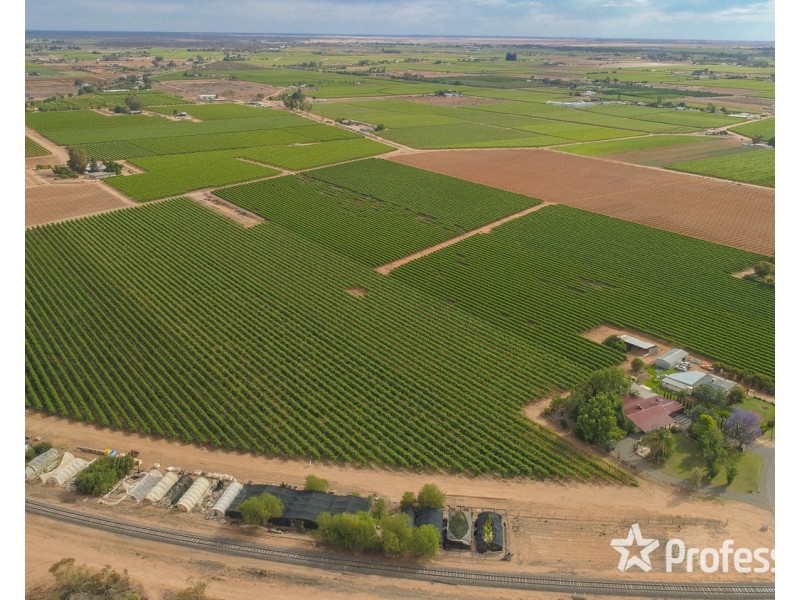 81 Wells Road, Merbein VIC 3505