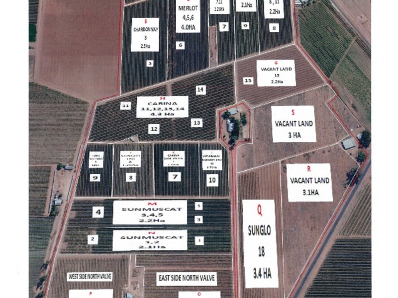 81 Wells Road, Merbein VIC 3505