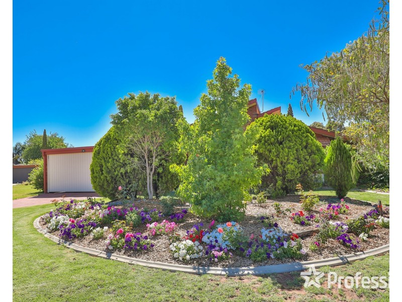 6 Willandra Court, Mildura VIC 3500