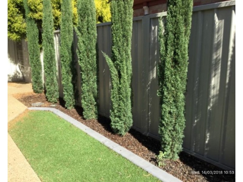 165a Ontario Avenue, Mildura VIC 3500