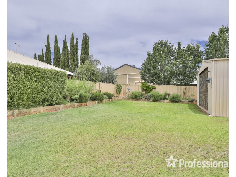 6 Robert Court, Gol Gol NSW 2738