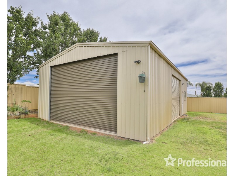 6 Robert Court, Gol Gol NSW 2738