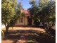 131 Lemon Avenue, Mildura VIC 3500
