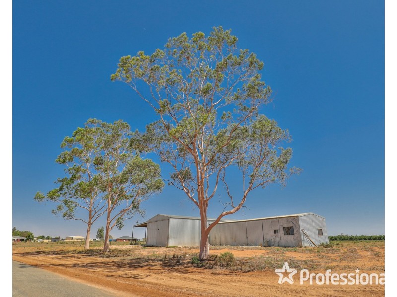 217B Cocklin Avenue, Red Cliffs VIC 3496