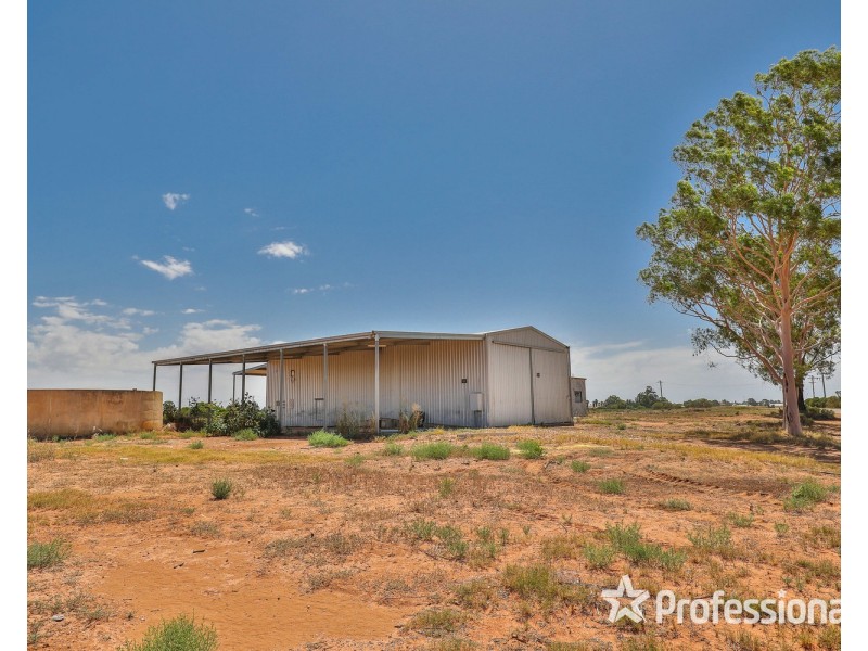 217B Cocklin Avenue, Red Cliffs VIC 3496