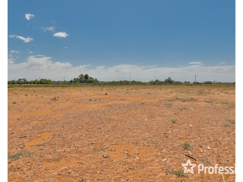 217B Cocklin Avenue, Red Cliffs VIC 3496