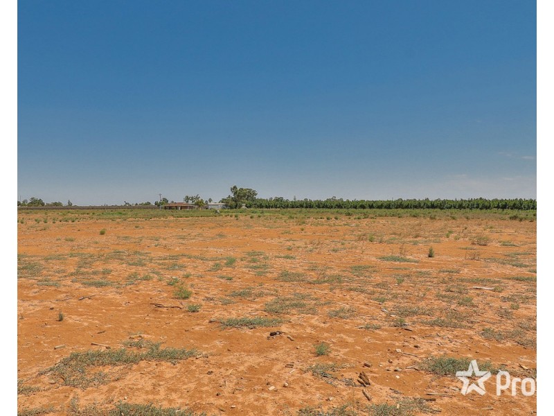 217B Cocklin Avenue, Red Cliffs VIC 3496