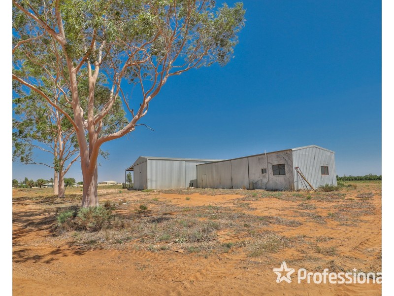 217B Cocklin Avenue, Red Cliffs VIC 3496