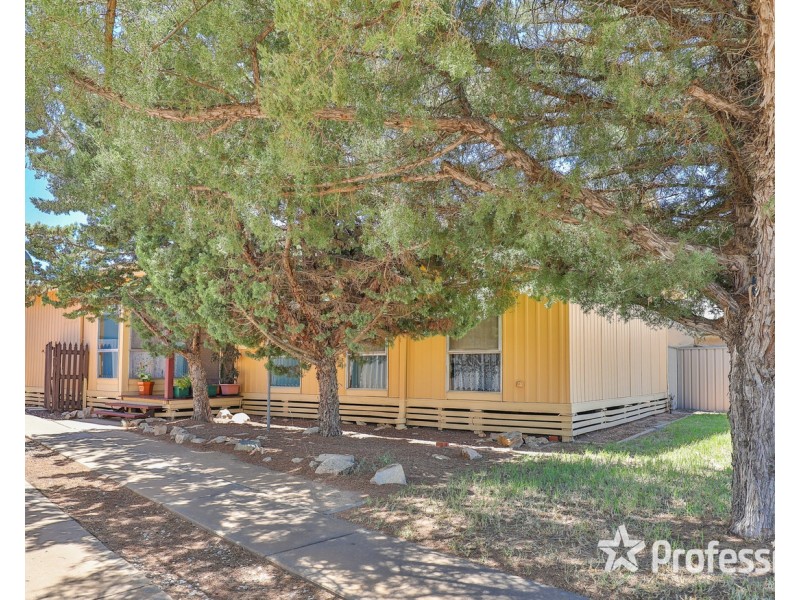 453 Etiwanda Avenue, Mildura VIC 3500