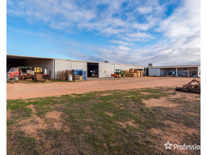 2756 Tapalin Mail Road, Euston NSW 2737