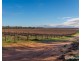 2756 Tapalin Mail Road, Euston NSW 2737